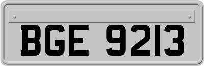 BGE9213