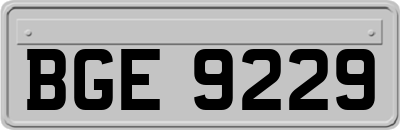 BGE9229
