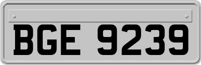 BGE9239