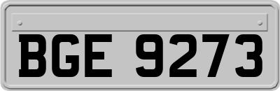 BGE9273