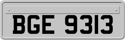BGE9313