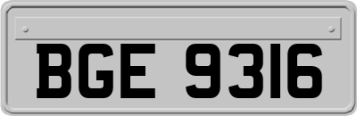 BGE9316