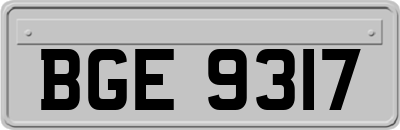 BGE9317