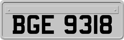 BGE9318
