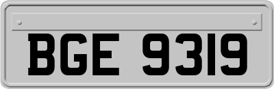 BGE9319
