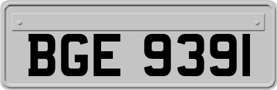 BGE9391