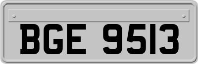 BGE9513
