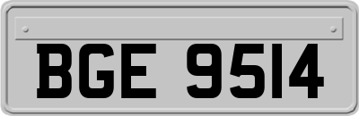 BGE9514