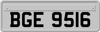 BGE9516