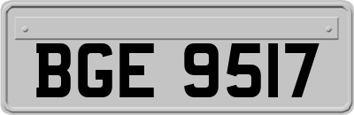 BGE9517