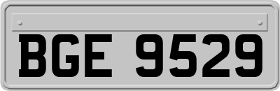 BGE9529