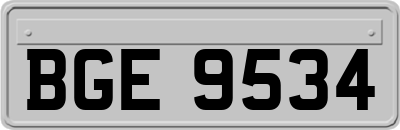 BGE9534