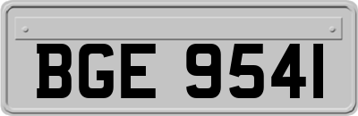 BGE9541