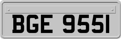 BGE9551