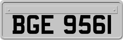 BGE9561
