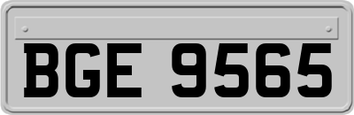 BGE9565