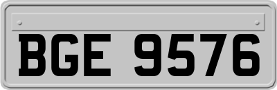 BGE9576