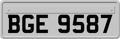 BGE9587