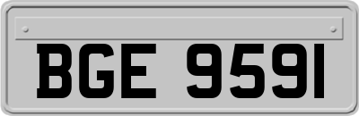 BGE9591