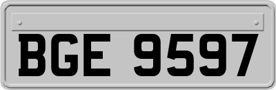 BGE9597