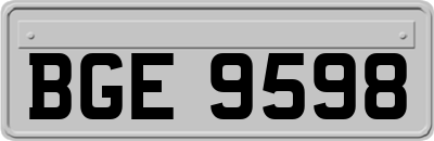 BGE9598