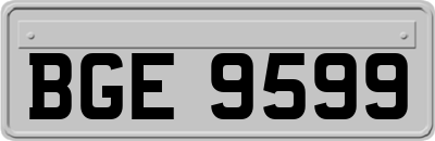 BGE9599