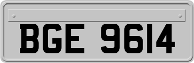 BGE9614