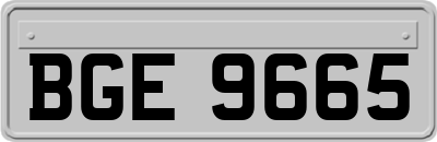 BGE9665