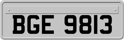 BGE9813