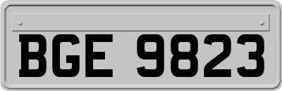 BGE9823