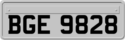 BGE9828