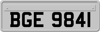 BGE9841