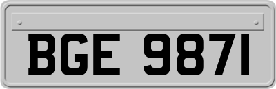 BGE9871
