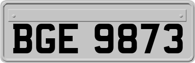 BGE9873