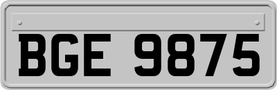 BGE9875