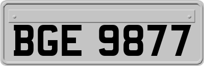 BGE9877