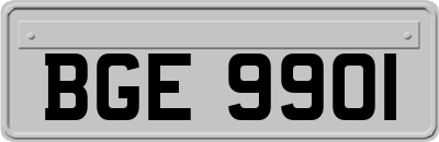 BGE9901