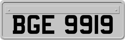 BGE9919