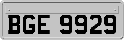 BGE9929