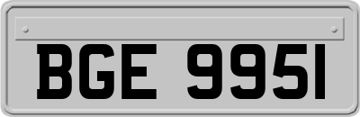 BGE9951