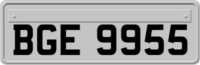 BGE9955