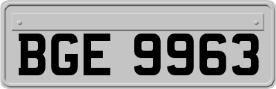 BGE9963