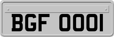 BGF0001