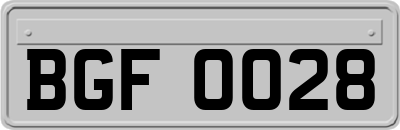 BGF0028