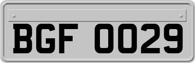 BGF0029
