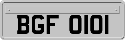 BGF0101