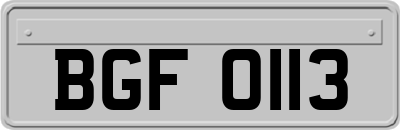 BGF0113