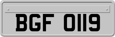 BGF0119