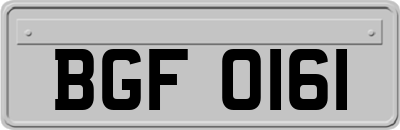 BGF0161