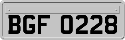 BGF0228